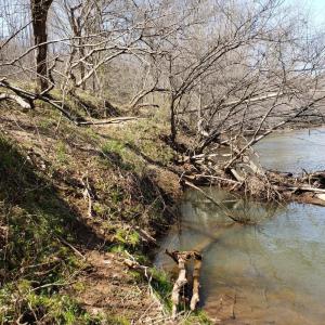 Photo #21 of Rocky Creek Ln Lot 12, Amherst, VA 10.3 acres