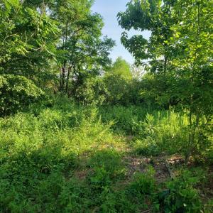 Photo #24 of Rocky Creek Ln Lot 12, Amherst, VA 10.3 acres