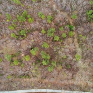 Photo #6 of Rocky Creek Ln Lot 12, Amherst, VA 10.3 acres