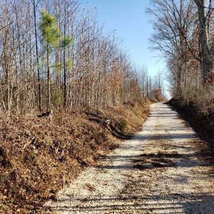Photo #13 of Rocky Creek Ln Lot 12, Amherst, VA 10.3 acres