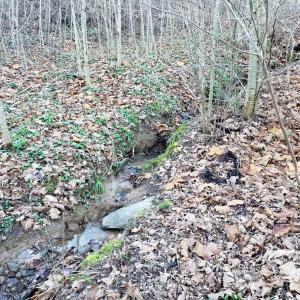 Photo #22 of Rocky Creek Ln Lot 12, Amherst, VA 10.3 acres