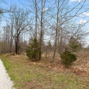 Photo #10 of Rocky Creek Ln Lot 12, Amherst, VA 10.3 acres