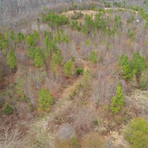 Photo #12 of Rocky Creek Ln Lot 12, Amherst, VA 10.3 acres