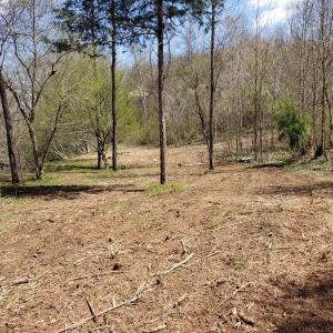 Photo #23 of Rocky Creek Ln Lot 12, Amherst, VA 10.3 acres