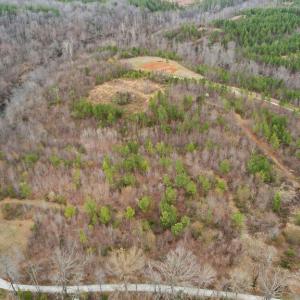 Photo #7 of Rocky Creek Ln Lot 12, Amherst, VA 10.3 acres