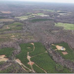 Photo #1 of Old Courthouse Road, Appomattox, VA 39.5 acres