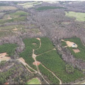 Photo #2 of Old Courthouse Road, Appomattox, VA 39.5 acres