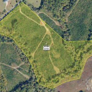 Photo #23 of Old Courthouse Road, Appomattox, VA 39.5 acres