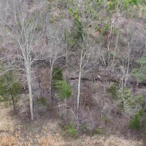 Photo #14 of Old Courthouse Road, Appomattox, VA 39.5 acres