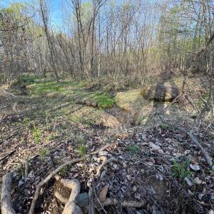 Photo #41 of Old Courthouse Road, Appomattox, VA 39.5 acres