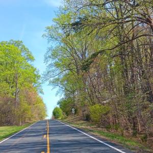 Photo #49 of Old Courthouse Road, Appomattox, VA 39.5 acres