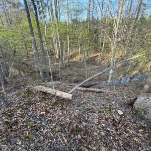 Photo #42 of Old Courthouse Road, Appomattox, VA 39.5 acres