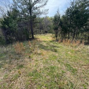 Photo #21 of Old Courthouse Road, Appomattox, VA 39.5 acres