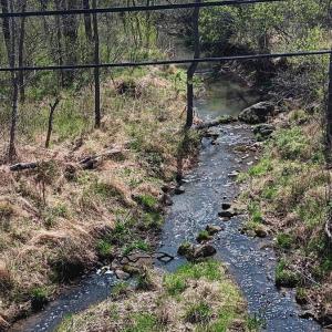 Photo #47 of Old Courthouse Road, Appomattox, VA 39.5 acres