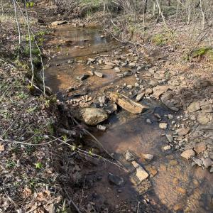 Photo #34 of Old Courthouse Road, Appomattox, VA 39.5 acres