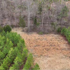 Photo #14 of Old Courthouse Road, Appomattox, VA 39.5 acres