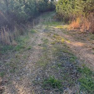 Photo #23 of Old Courthouse Road, Appomattox, VA 39.5 acres