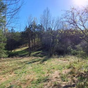 Photo #50 of Old Courthouse Road, Appomattox, VA 39.5 acres