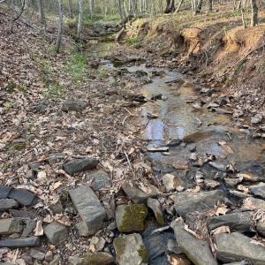 Photo #40 of Old Courthouse Road, Appomattox, VA 39.5 acres