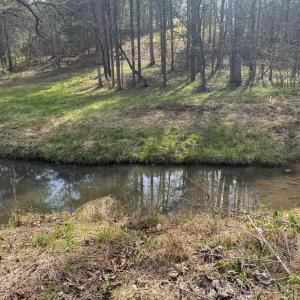Photo #30 of Old Courthouse Road, Appomattox, VA 39.5 acres