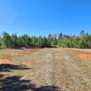 Photo #51 of Old Courthouse Road, Appomattox, VA 39.5 acres