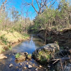 Photo #17 of Old Courthouse Road, Appomattox, VA 39.5 acres