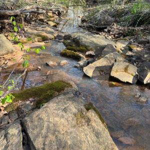 Photo #39 of Old Courthouse Road, Appomattox, VA 39.5 acres