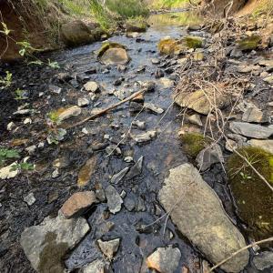 Photo #33 of Old Courthouse Road, Appomattox, VA 39.5 acres