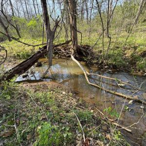 Photo #38 of Old Courthouse Road, Appomattox, VA 39.5 acres