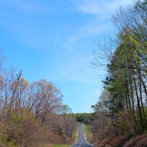 Photo #48 of Old Courthouse Road, Appomattox, VA 39.5 acres