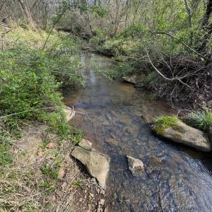 Photo #31 of Old Courthouse Road, Appomattox, VA 39.5 acres