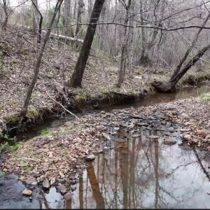 Photo #28 of Old Courthouse Road, Appomattox, VA 39.5 acres