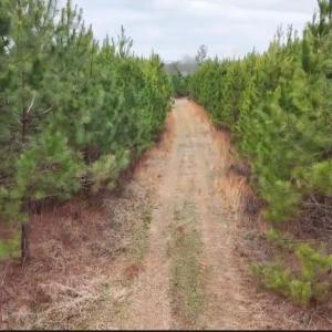 Photo #20 of Old Courthouse Road, Appomattox, VA 39.5 acres