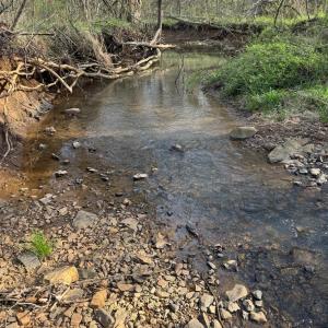 Photo #35 of Old Courthouse Road, Appomattox, VA 39.5 acres