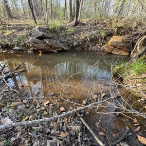 Photo #43 of Old Courthouse Road, Appomattox, VA 39.5 acres