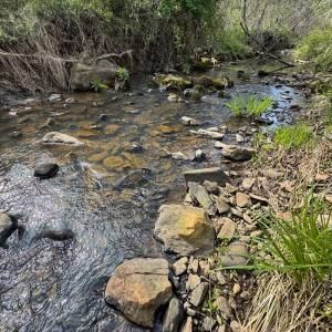 Photo #32 of Old Courthouse Road, Appomattox, VA 39.5 acres