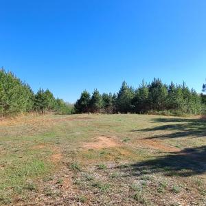Photo #52 of Old Courthouse Road, Appomattox, VA 39.5 acres