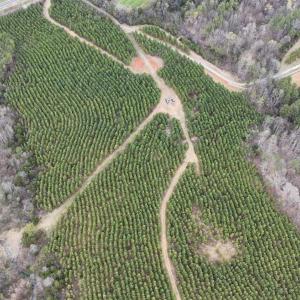 Photo #5 of Old Courthouse Road, Appomattox, VA 39.5 acres