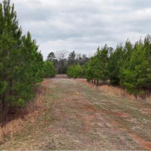 Photo #22 of Old Courthouse Road, Appomattox, VA 39.5 acres