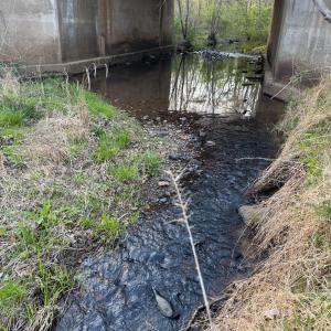 Photo #46 of Old Courthouse Road, Appomattox, VA 39.5 acres