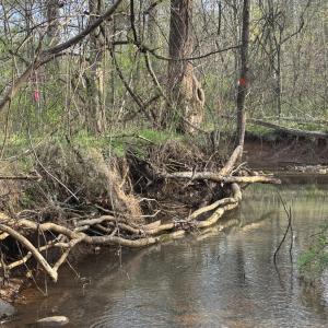 Photo #36 of Old Courthouse Road, Appomattox, VA 39.5 acres