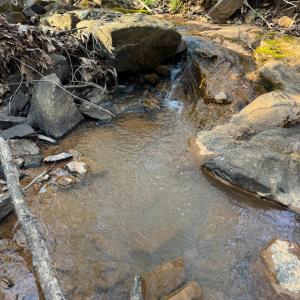 Photo #45 of Old Courthouse Road, Appomattox, VA 39.5 acres