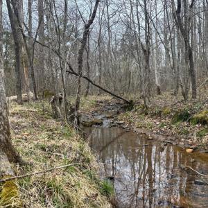 Photo #26 of Old Courthouse Road, Appomattox, VA 39.5 acres