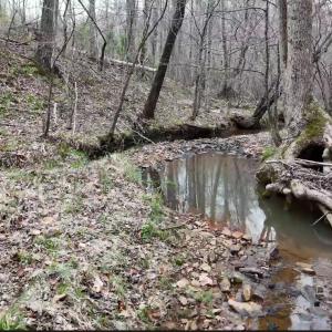 Photo #27 of Old Courthouse Road, Appomattox, VA 39.5 acres