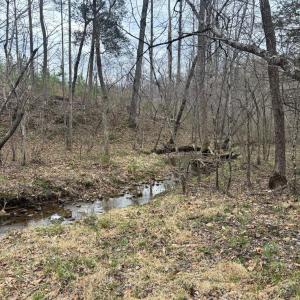 Photo #25 of Old Courthouse Road, Appomattox, VA 39.5 acres