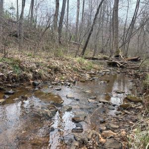 Photo #29 of Old Courthouse Road, Appomattox, VA 39.5 acres