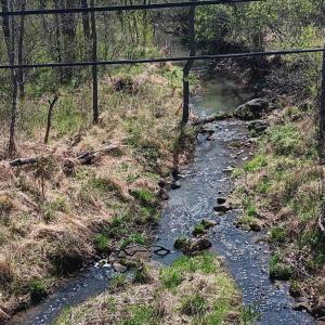 Photo #47 of Old Courthouse Road, Appomattox, VA 39.5 acres