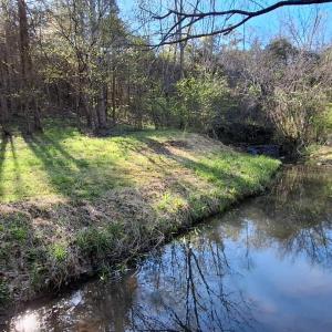 Photo #19 of Old Courthouse Road, Appomattox, VA 39.5 acres