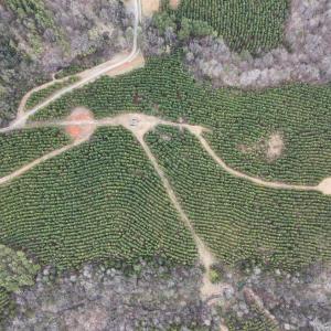 Photo #7 of Old Courthouse Road, Appomattox, VA 39.5 acres