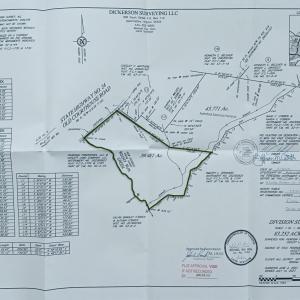 Photo #54 of Old Courthouse Road, Appomattox, VA 39.5 acres